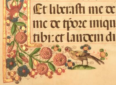 Medieval Manuscript with an illustrated bird