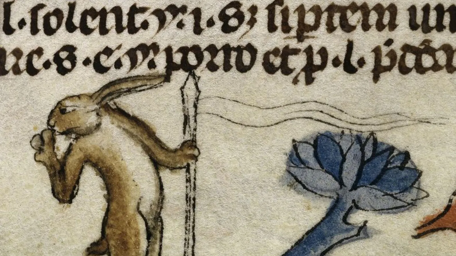 rabbit medieval MS