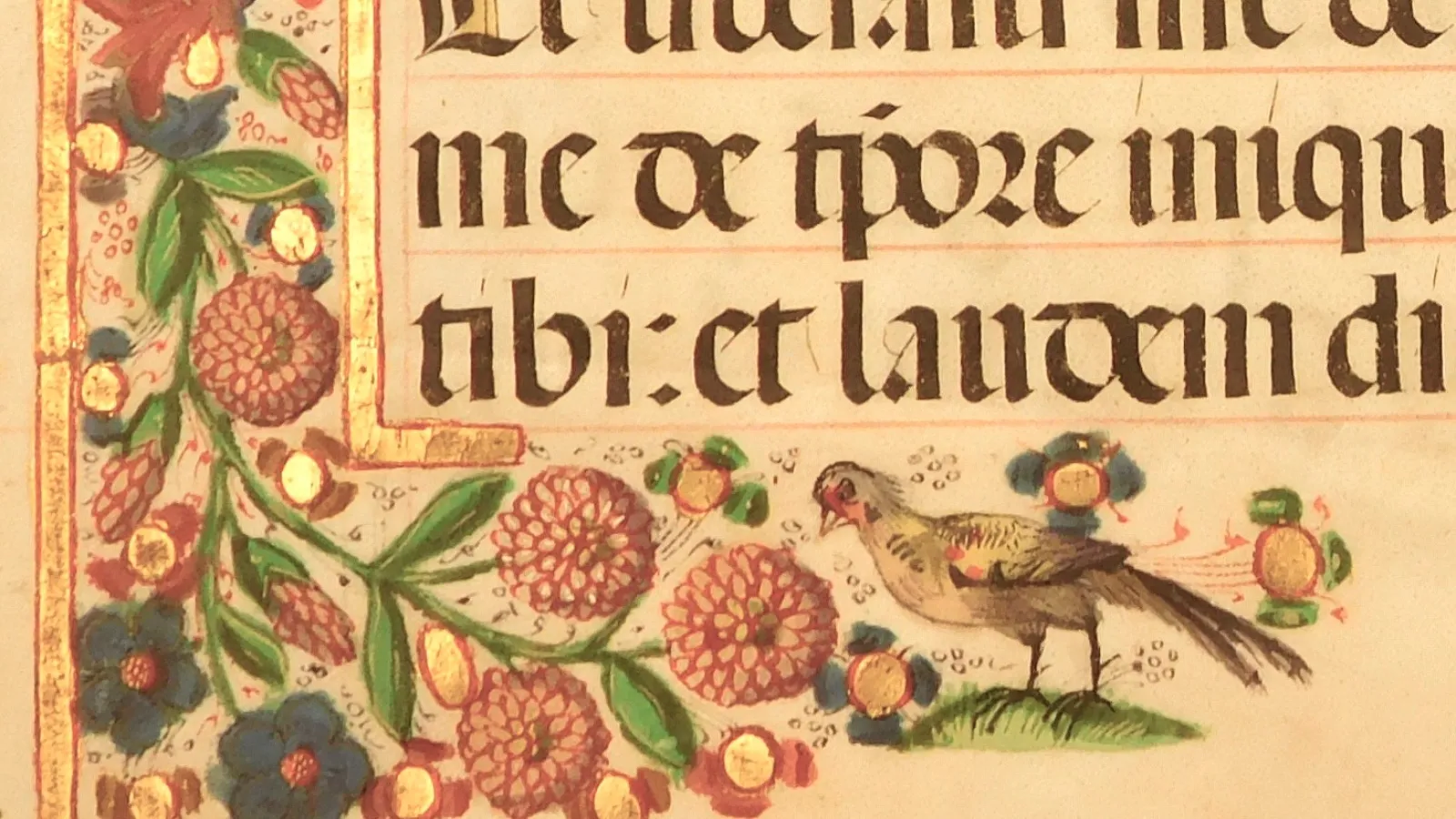 Medieval Manuscript with an illustrated bird