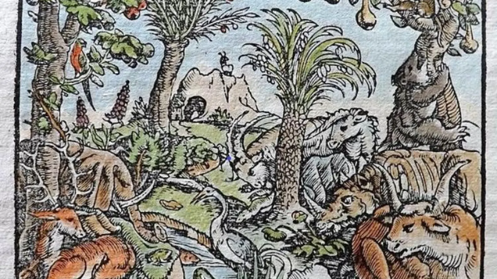 Renaissance painting of tropical ecosystem