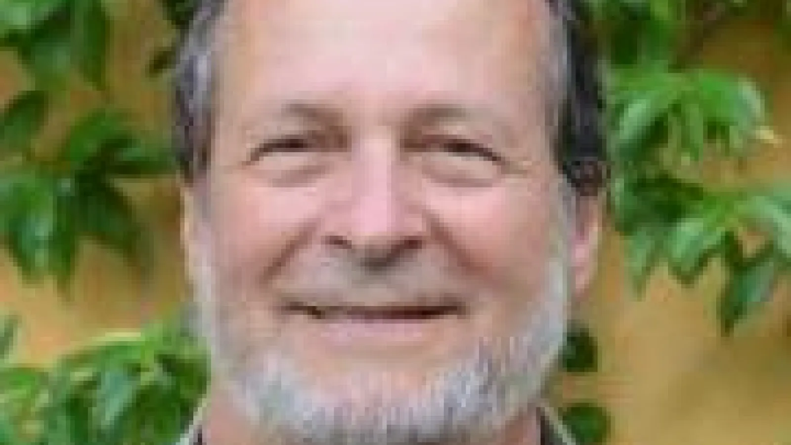 Allen Grieco