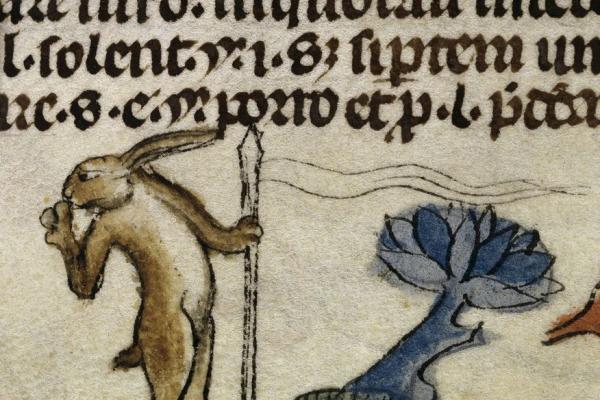 rabbit medieval MS