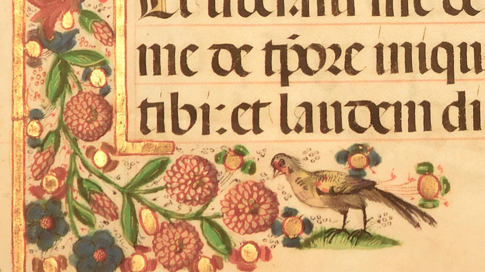 Medieval Manuscript with an illustrated bird
