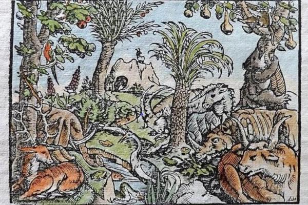 Renaissance painting of tropical ecosystem