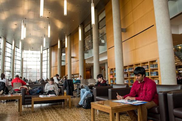 Students studying in library